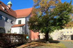 image6