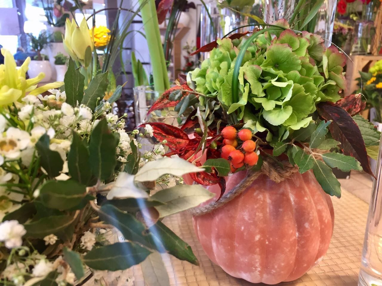 Blumen Bayer in Pfersee