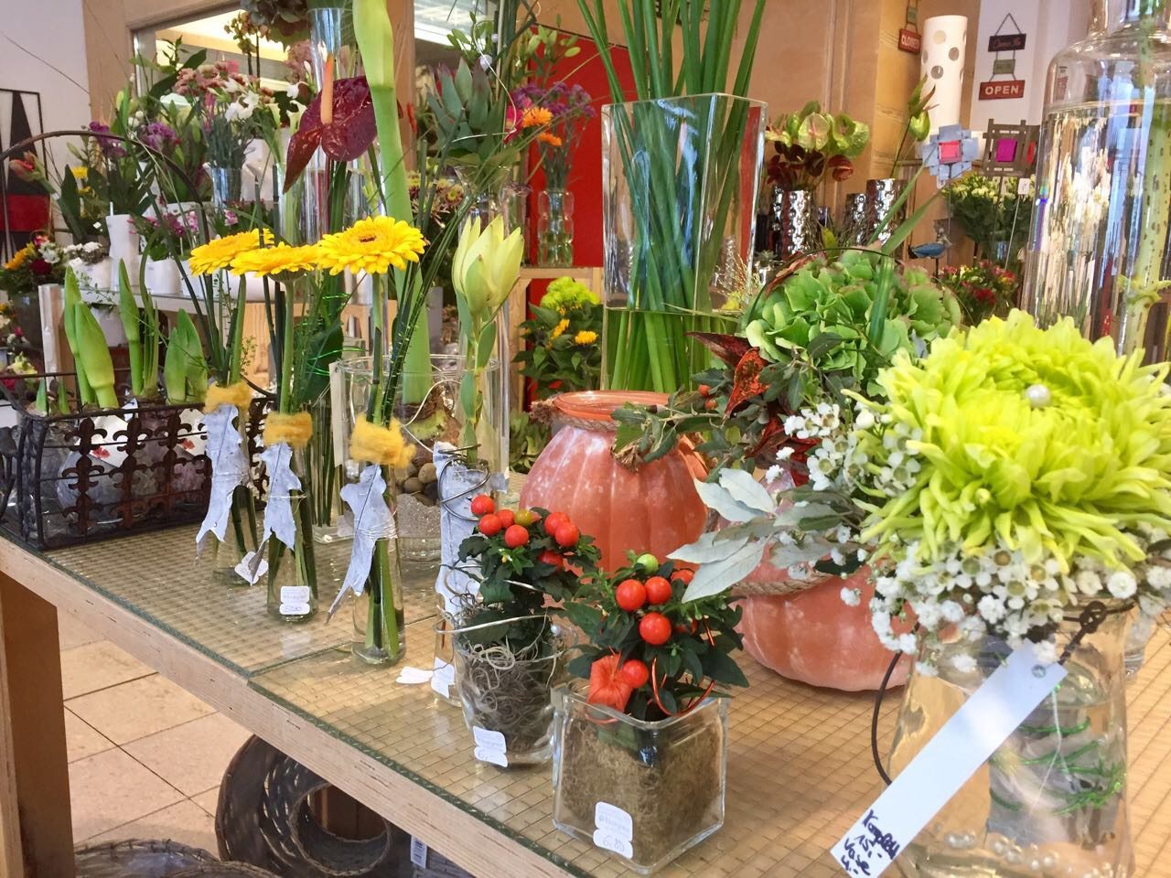 Blumen Bayer – lange Freude an frischen Blumen
