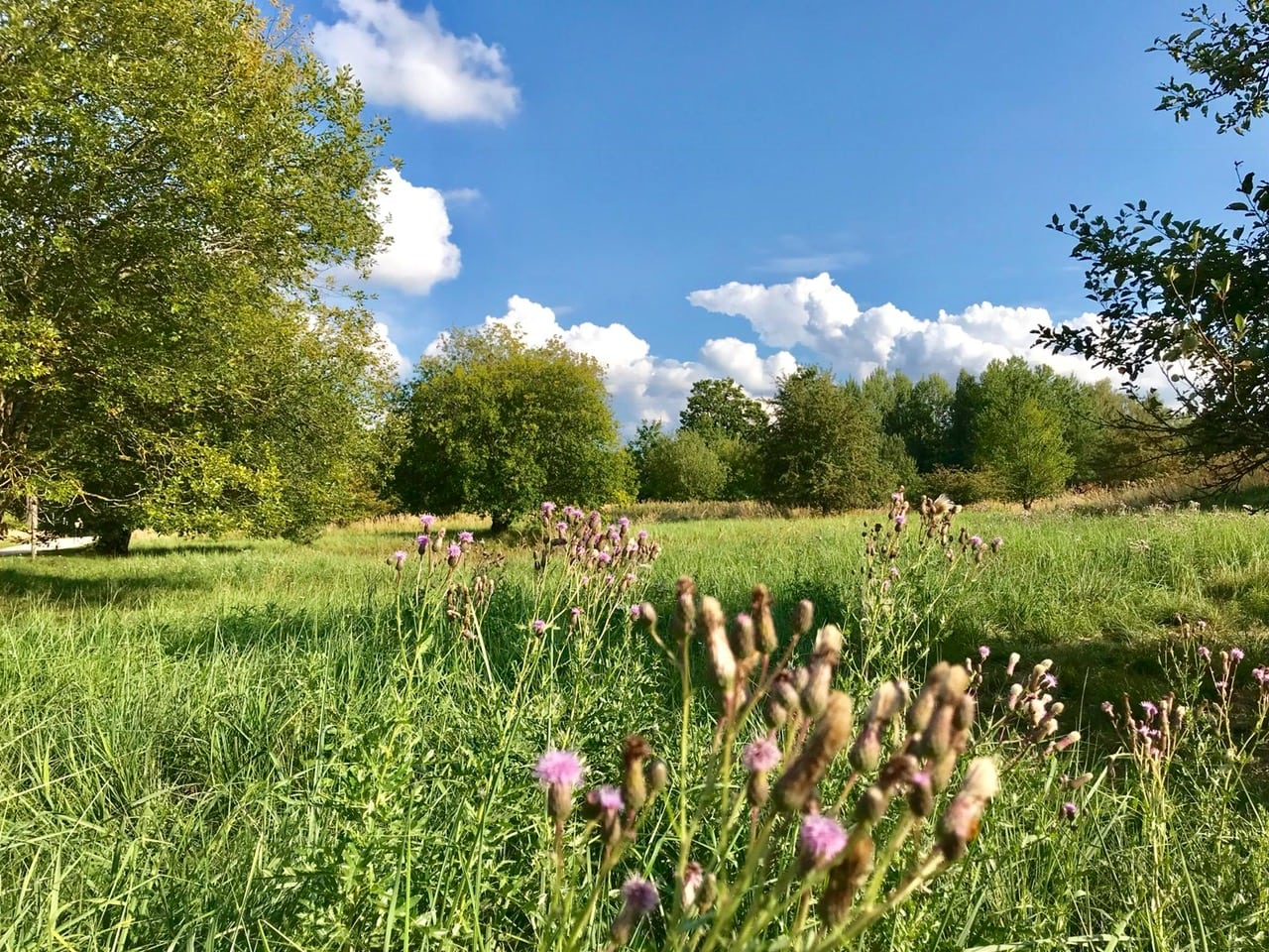 Naturpark Augsburg – Westliche Wälder,