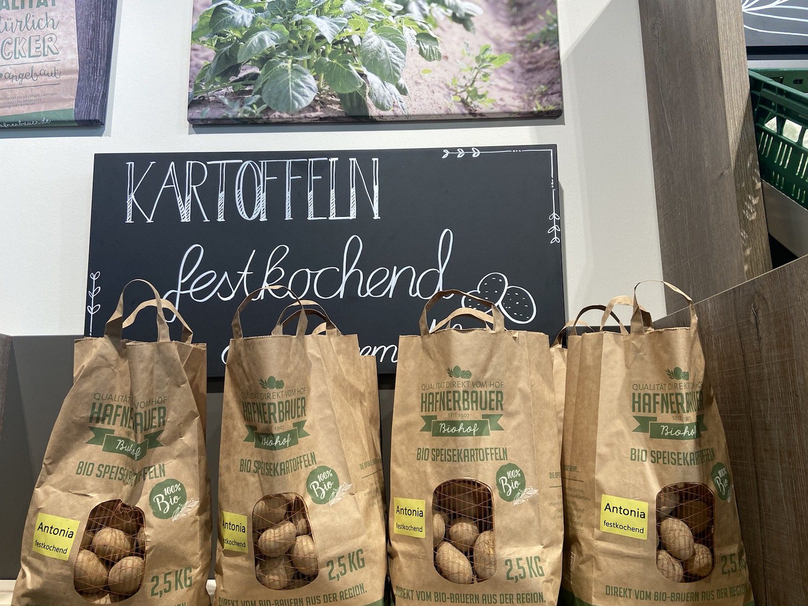 Festkochende Kartoffeln