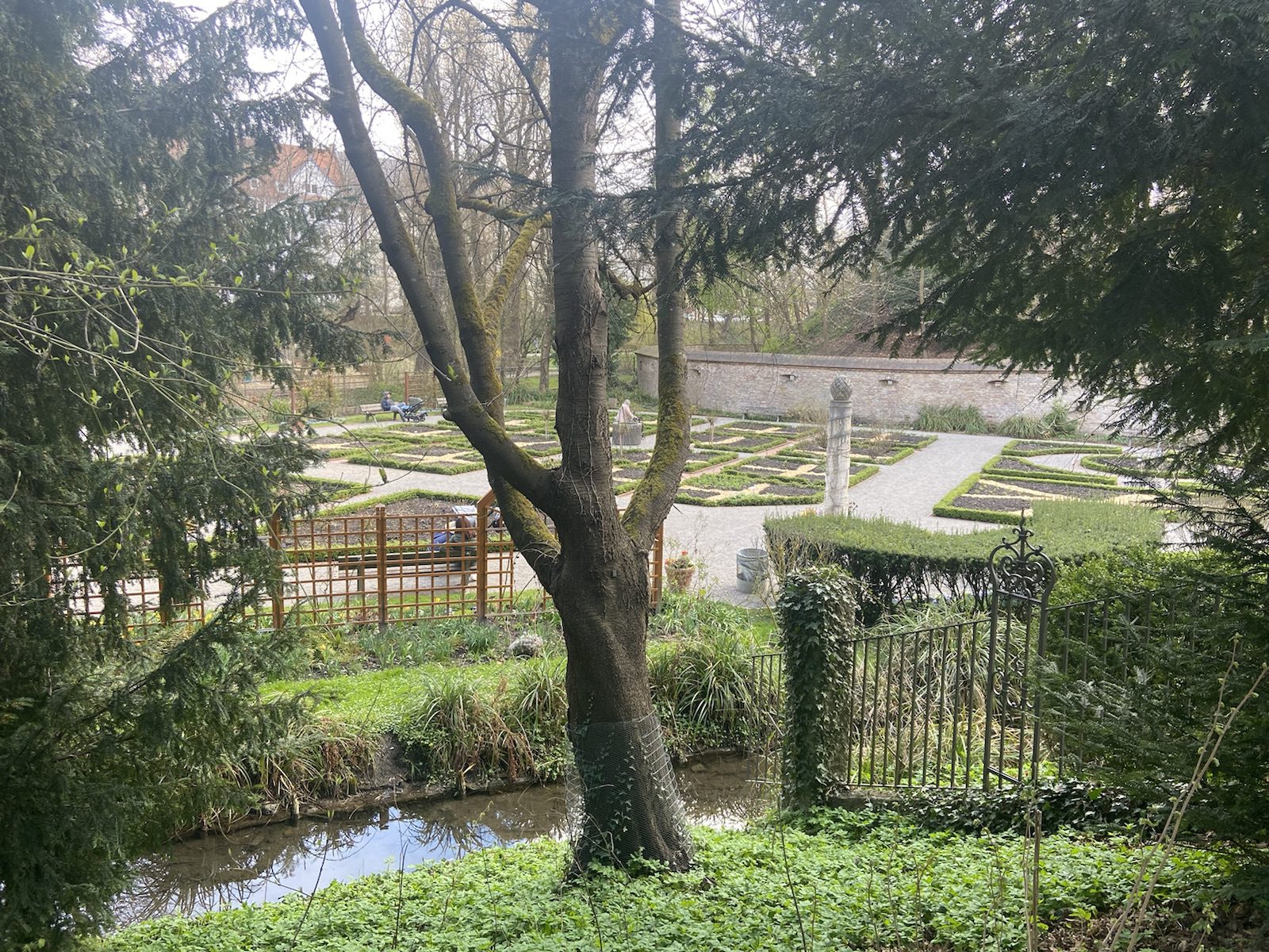 Frühjahrserwachen im Kräutergarten