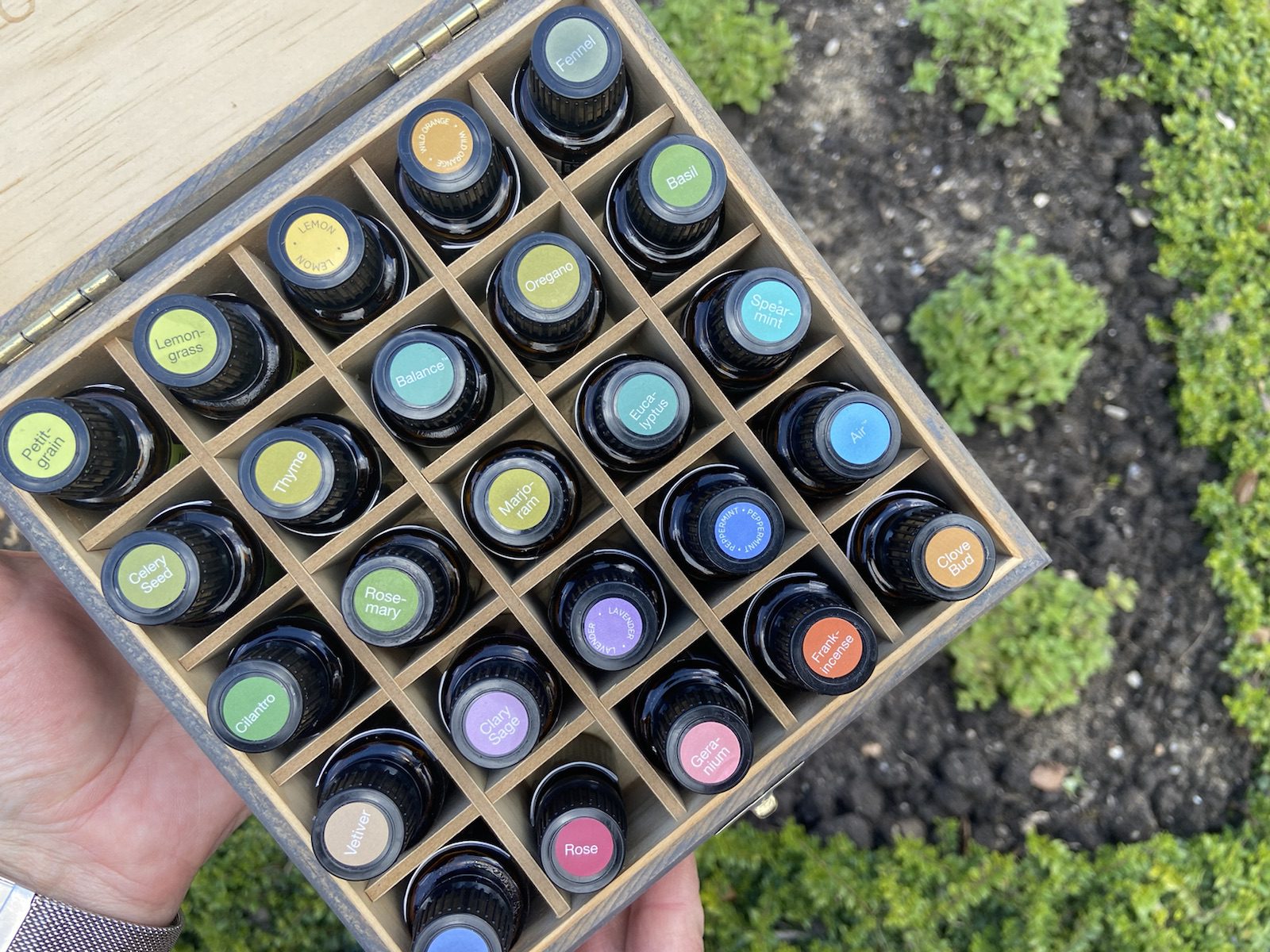 Workshop Kräuter-Wellness mit ätherischen Ölen