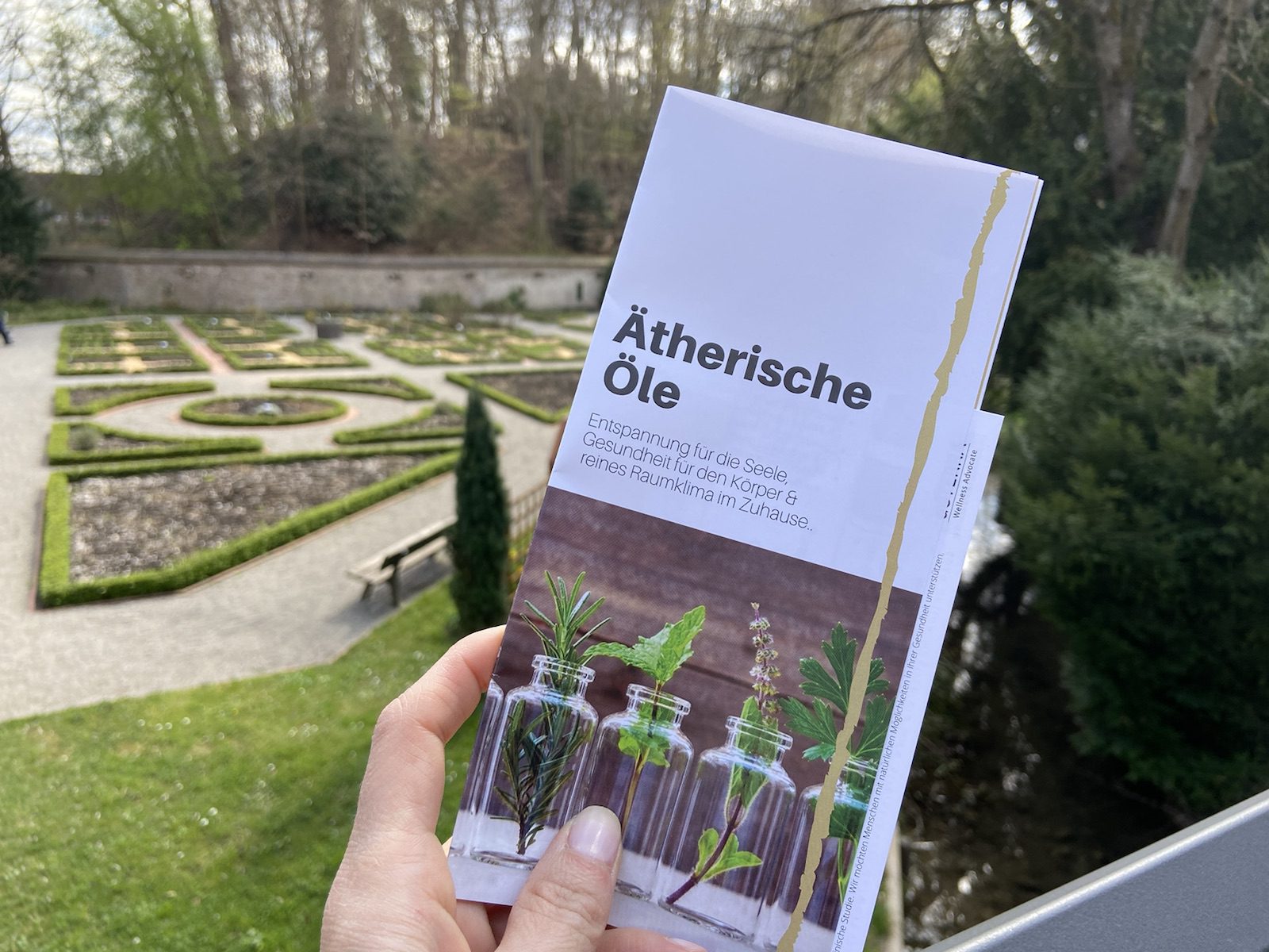 Zum Nachlesen