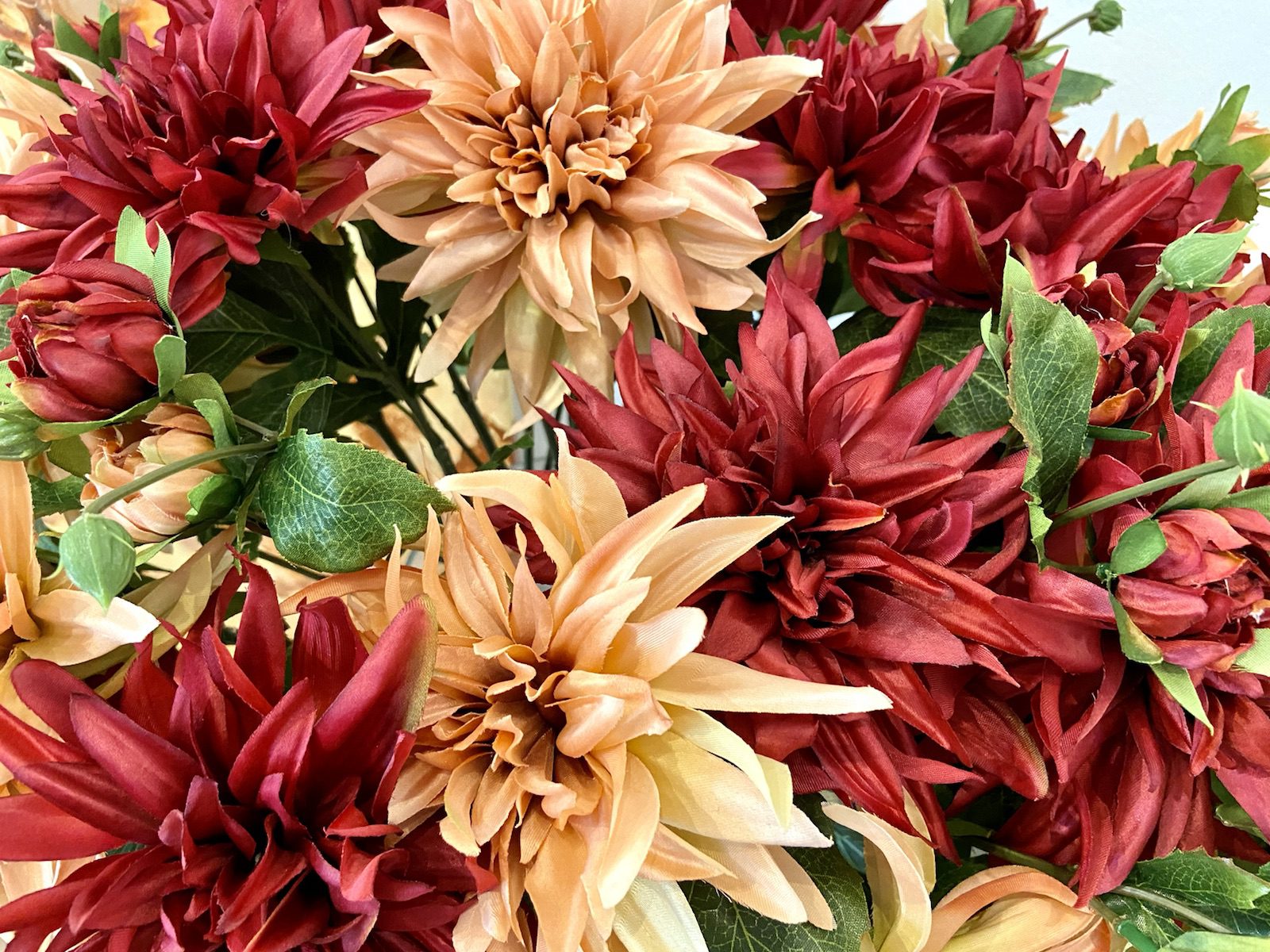 Täuschend echt - Dahlien