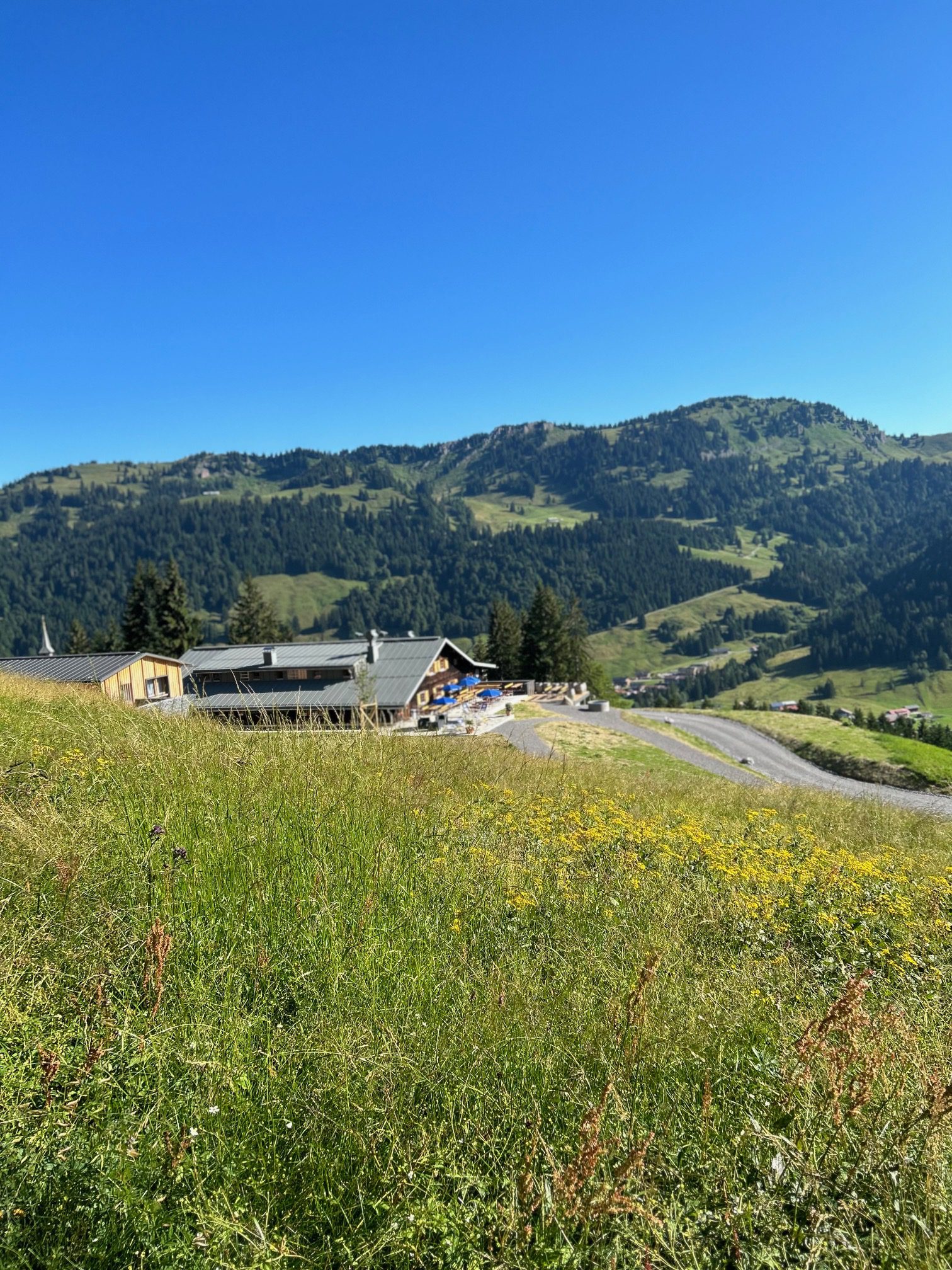 inmitten der Allgäuer Berge