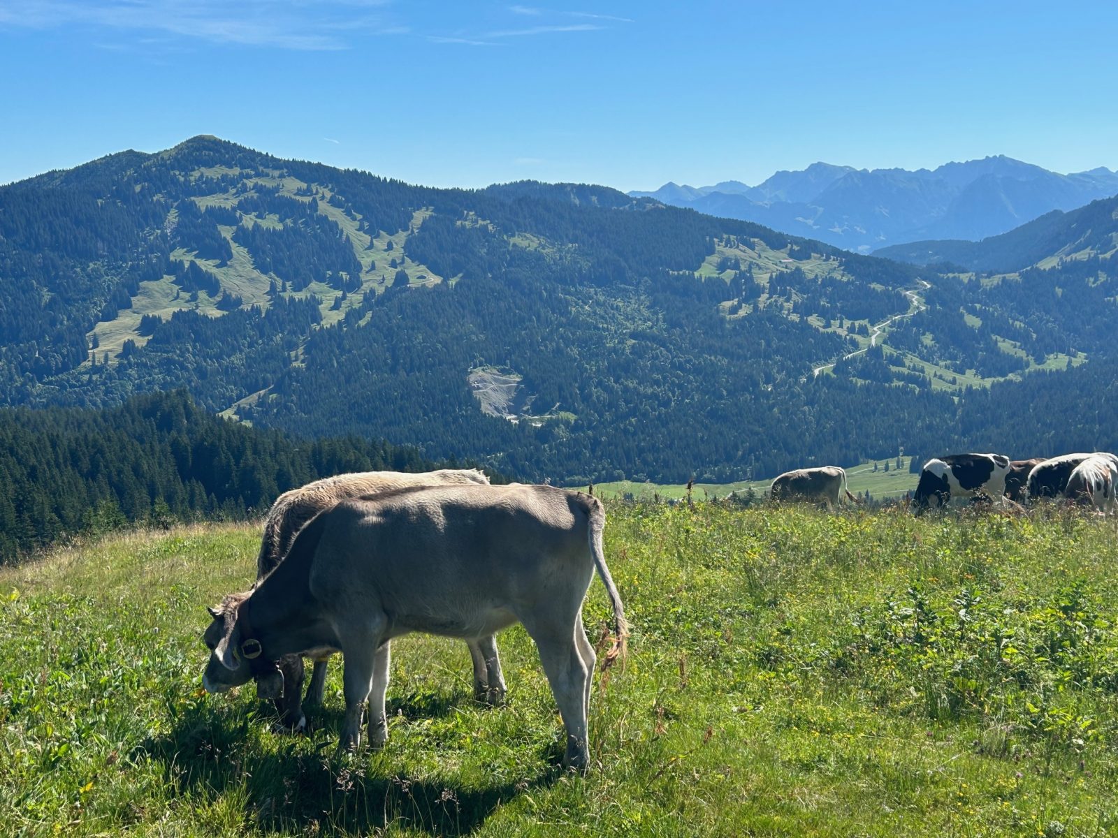 Herrlicher Ausblick