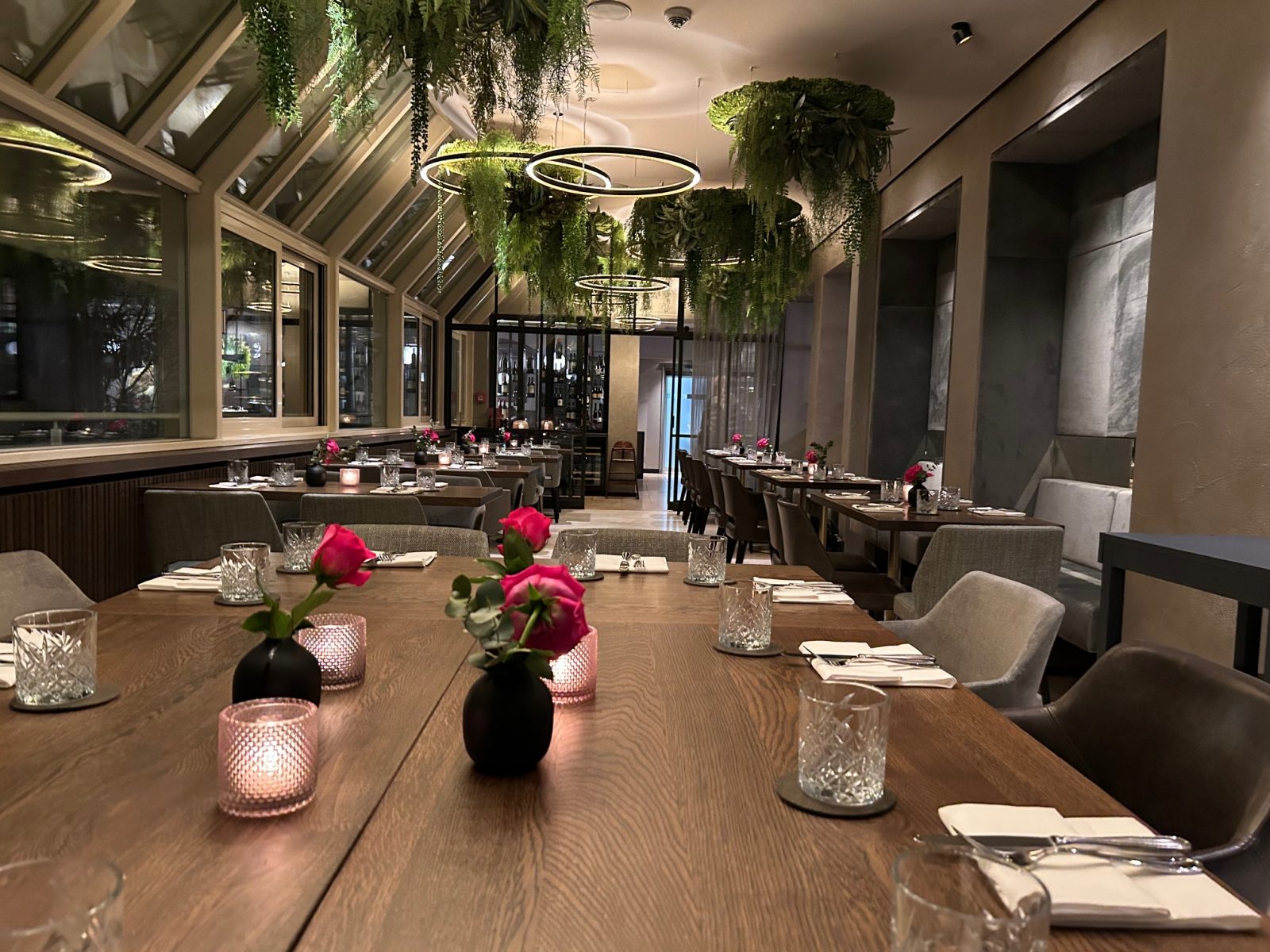 Eine grüne Oase im Restaurant