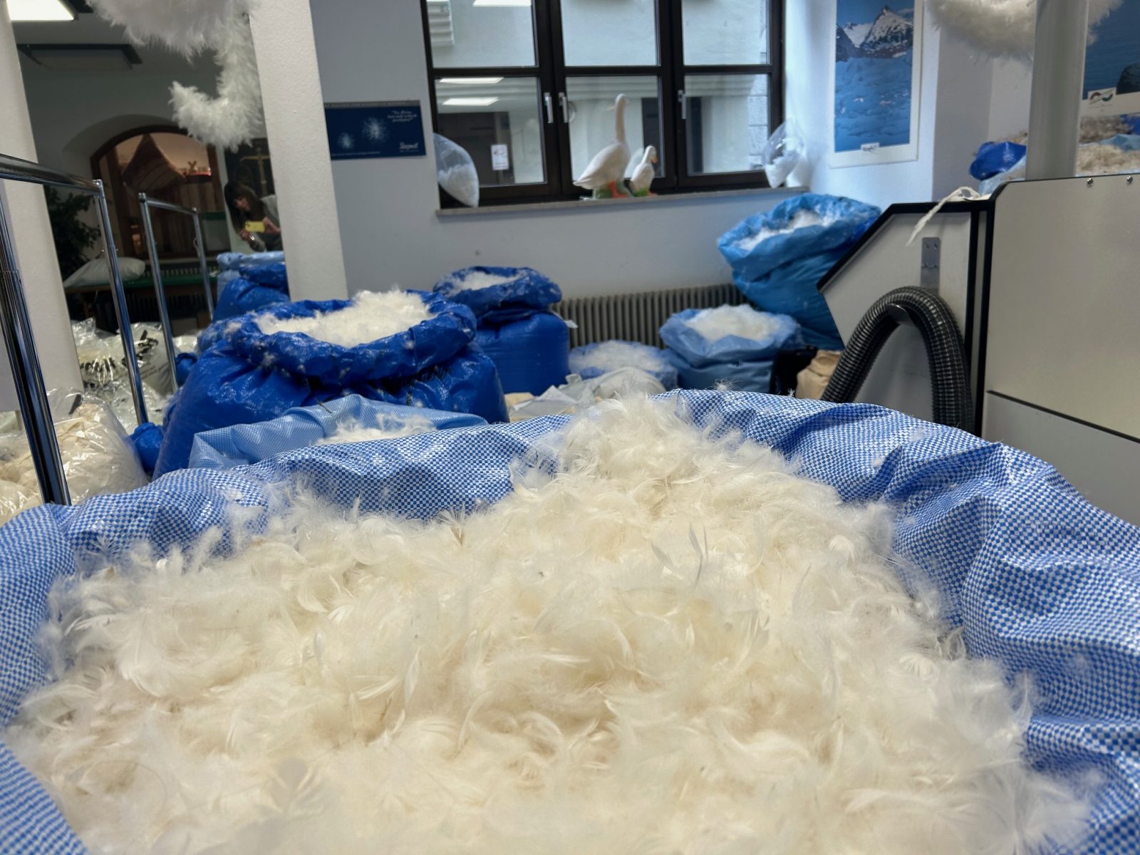 Daunen- und Federfüllungen