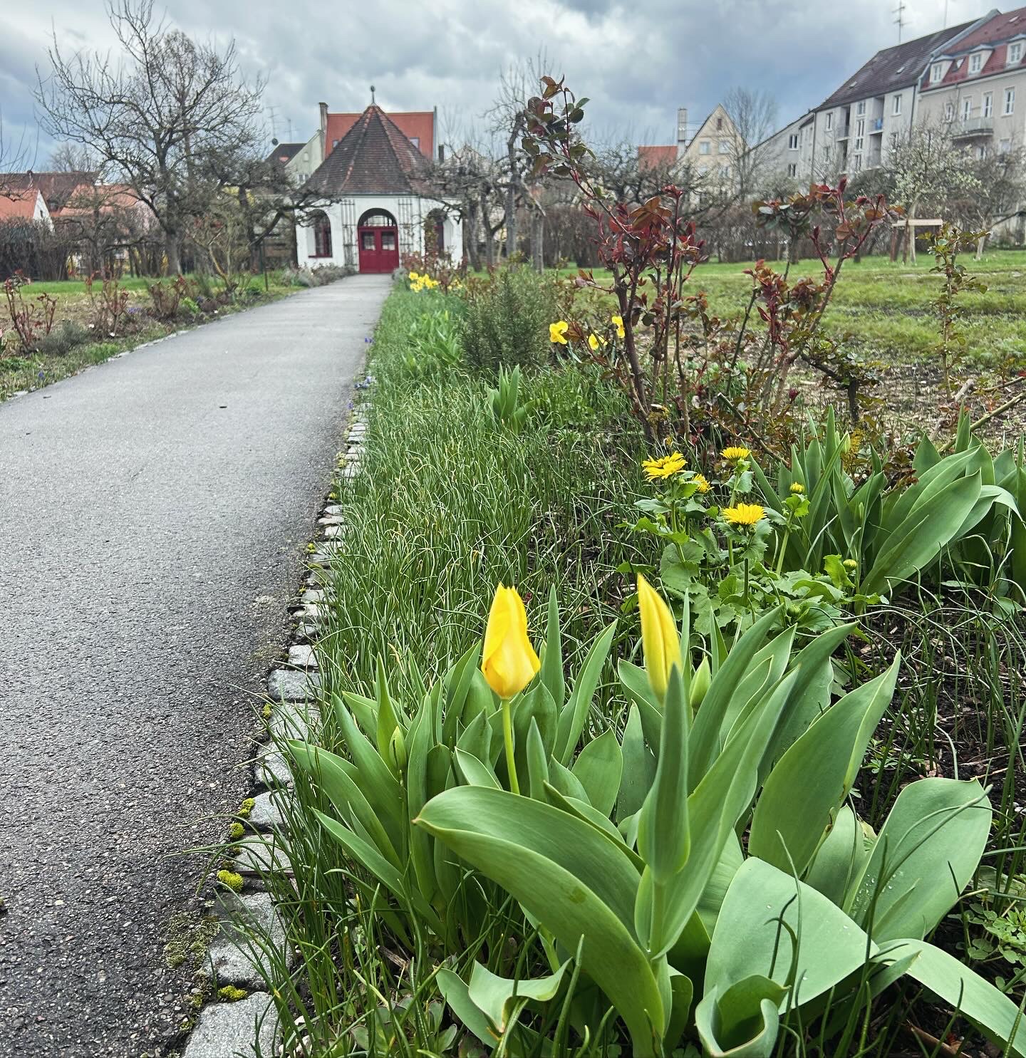 Der Klostergarten von St.Stephan