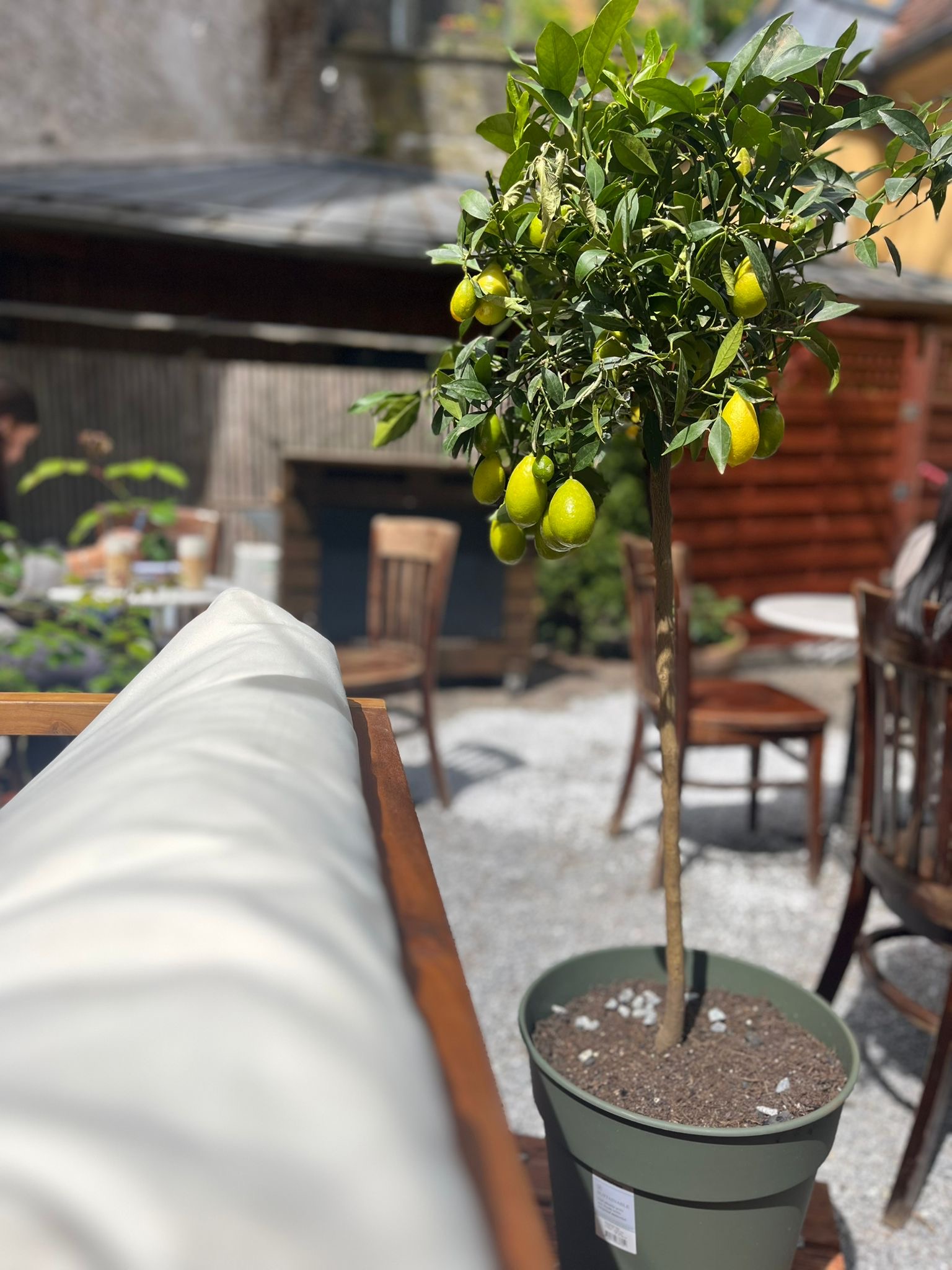 eine tolle Atmosphäre im Café Nene
