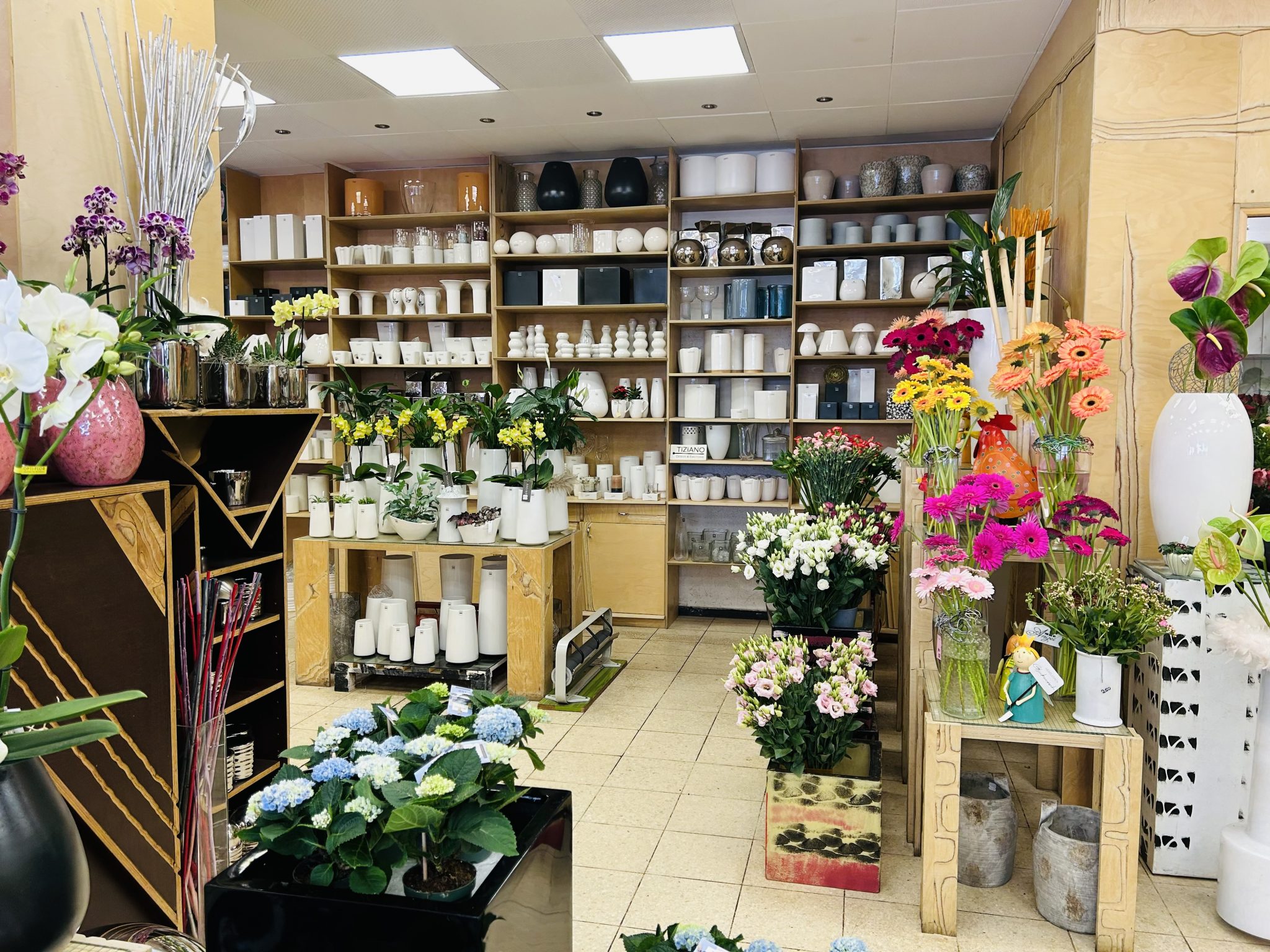 Der Blumenladen in Pfersee