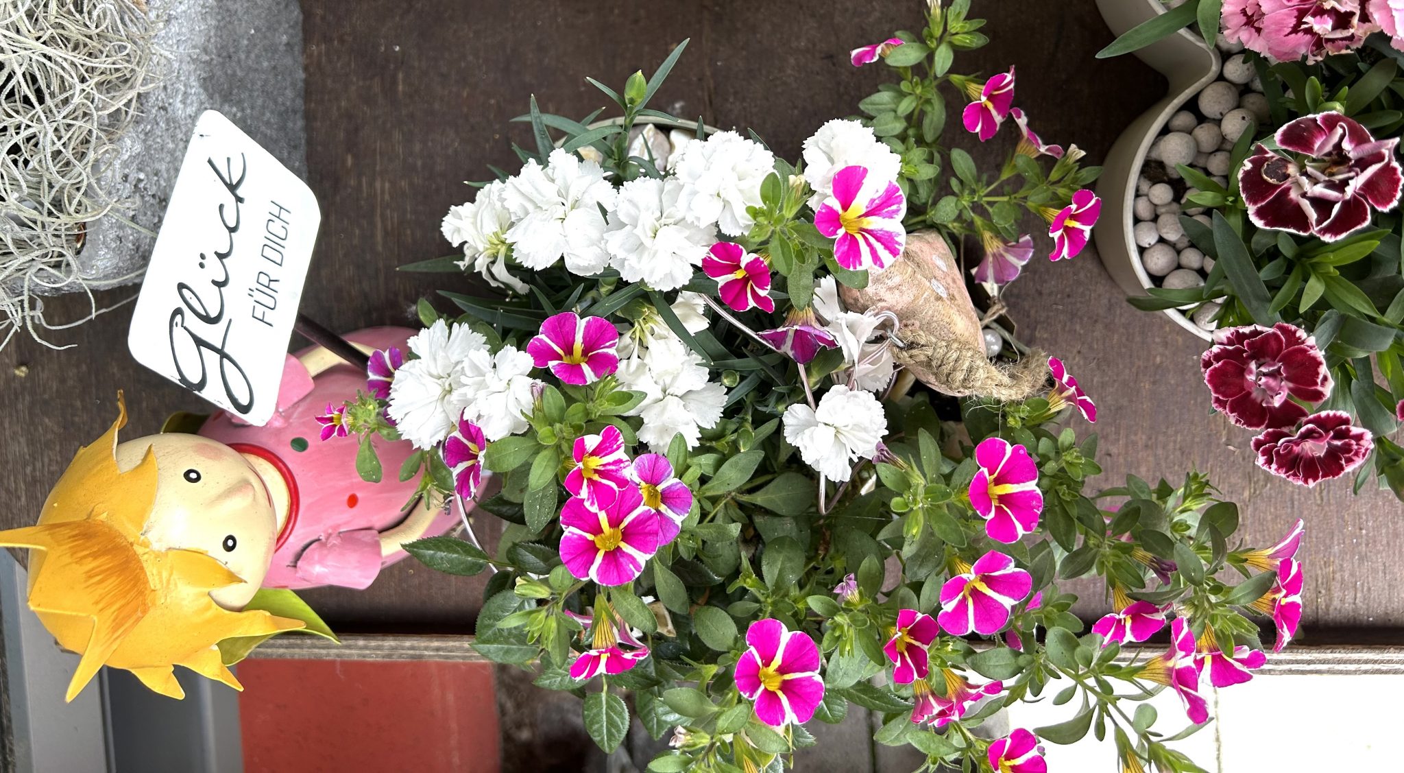 Petunien in leuchtenden Farben