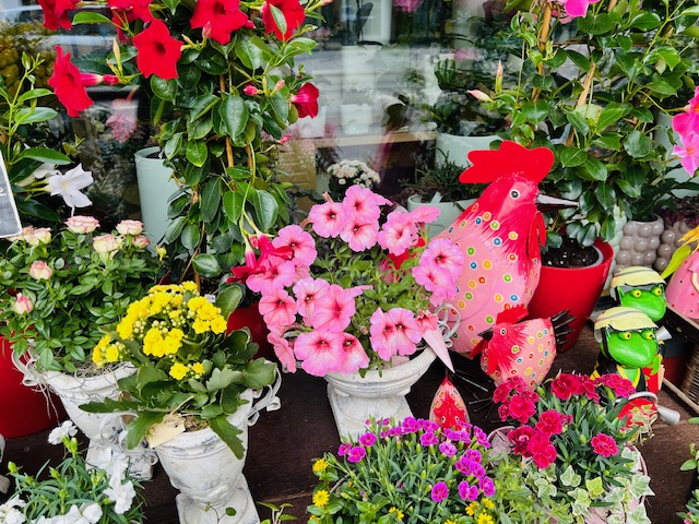 Blumen Bayer - lange Freude an frischen Blumen