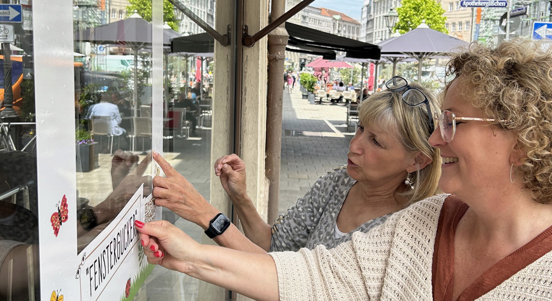 Fenstergucker bei Linea in der Maxstraße